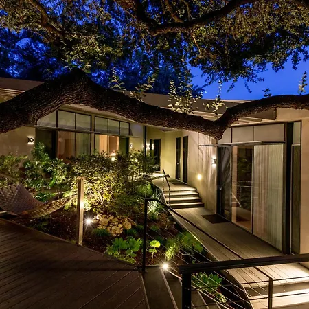 Frame Hotel - Treehouse